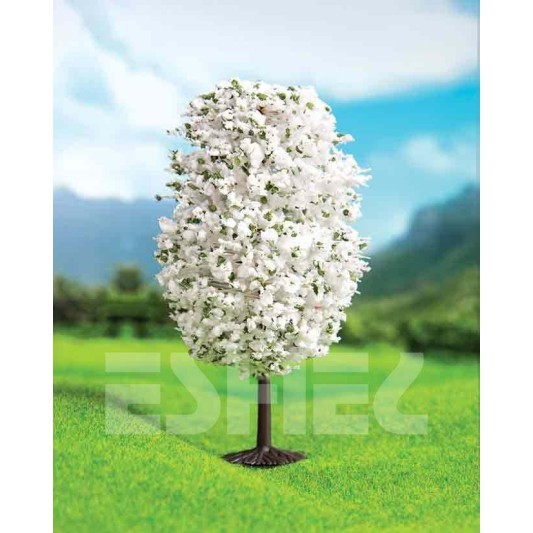 Beyaz Dağ Çamı--10 cm--2 li