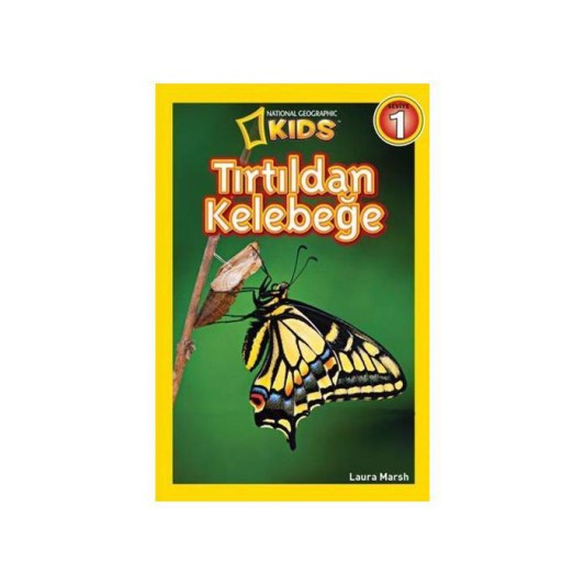 TIRTILDAN KELEBEĞE